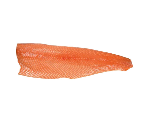 Filetti salmone 500/1000pc congelato