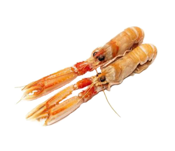 Scampi poly inshore 16/20 kg. 3x3 peso netto congelato irl