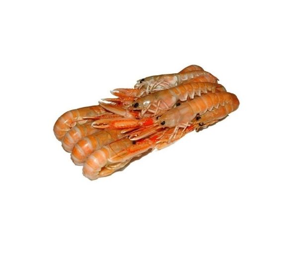 Scampi bordo labadie 31/40 2kg peso netto congelato