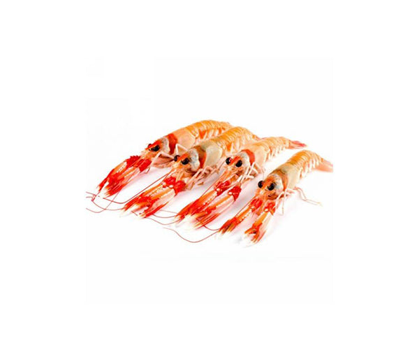 Scampi con testa 13/16 700g scozia congelato