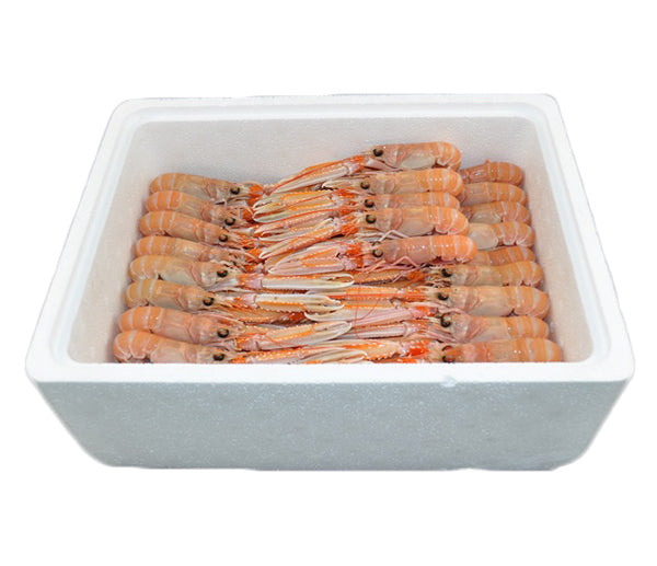 Scampi poly inshor nr. 0 8/10 4x1,35kg congelato scozia