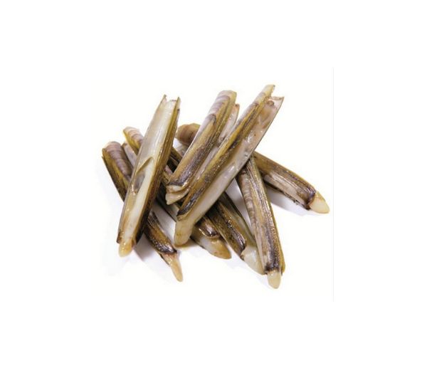 Cannolicchi di mare nostrani kg. 2 congelato