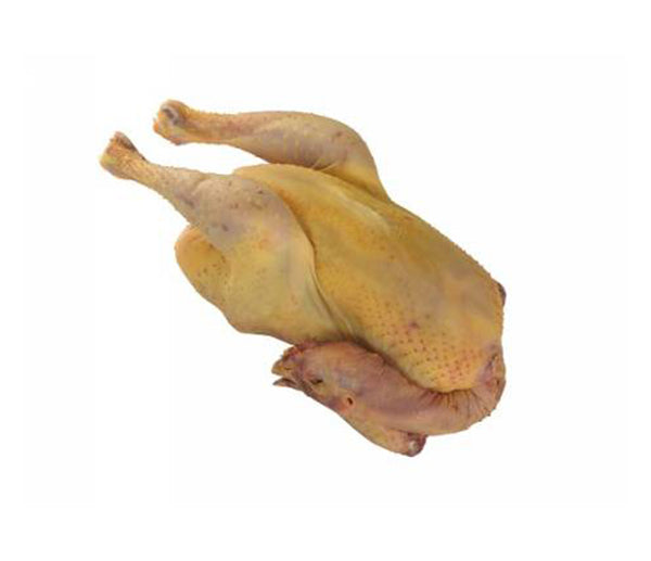 Pollo a busto 800g cong. congelato