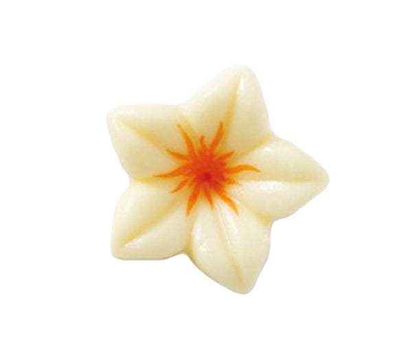 Narciso choc bianco/arancio pz. 76 (cioc. bianco)