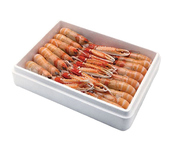 Scampi poly porcupine 20/30 3kg peso netto congelato