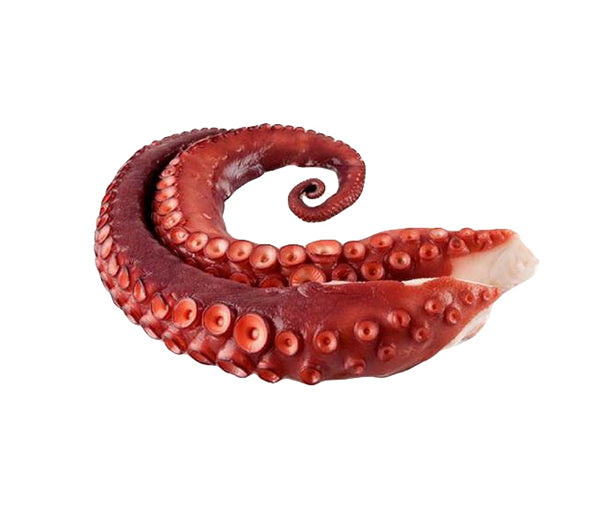 Tentacolo di polpo intero cotto 150/200g congelato