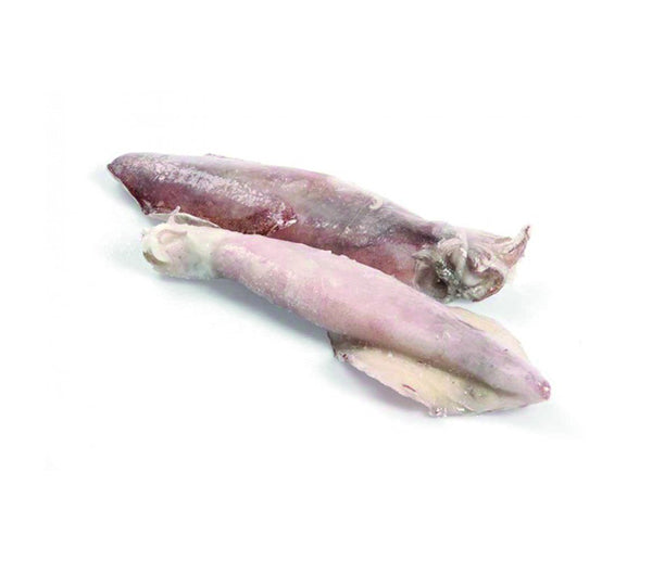 Calamari sporchi c4ll 12/16cm patagonia congelato
