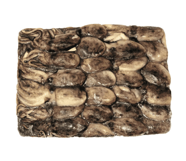 Moscardini sporchi cc/p -90g tunisia congelato 3x5kg