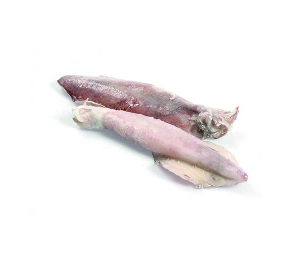 Calamari sporchi c4l 10/13cm patagonia congelato