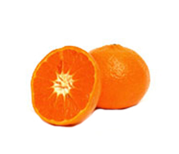 Preparato per sorbetto al mandarino 1,15kg sorby