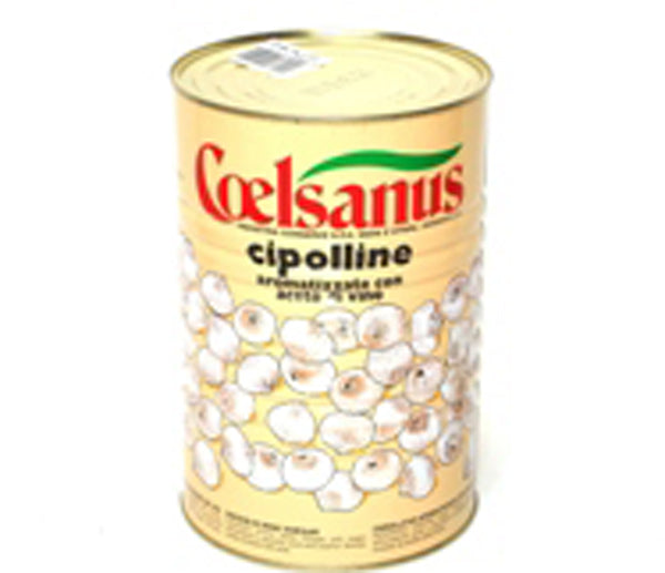 Cipolline picc. 18/20 kg. 4 coelsanus (sg. 2,6)